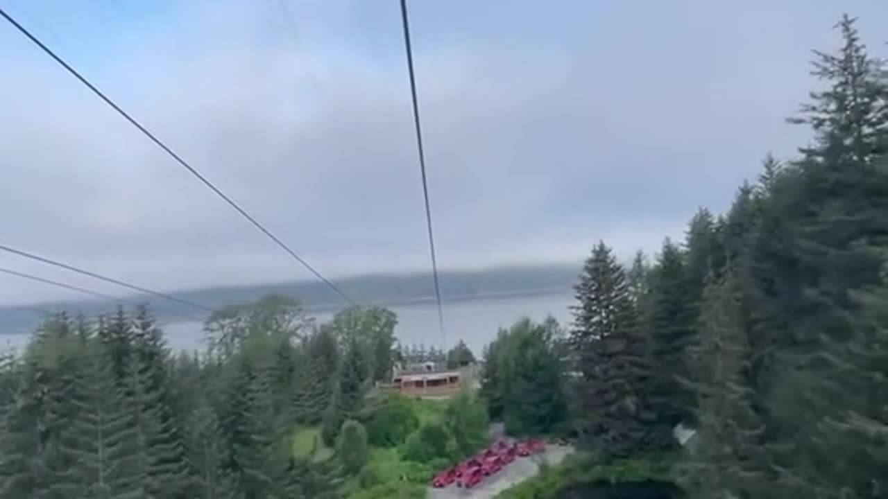 Zipline in Alaska.