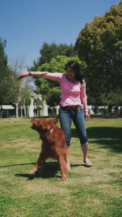 Funniest and Cutest Dog Training New #Shorts,