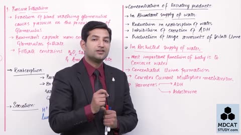 LEC#10 FUNCTION OF NEPHRON