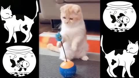 Cute And Funny Pets