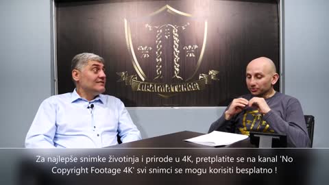 Da li čipovati psa (Miroljub Petrović)