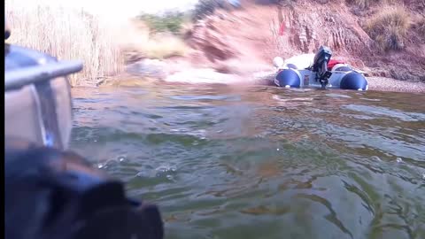 Diving saguaro lake