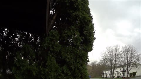 BEFORE THE STORM
