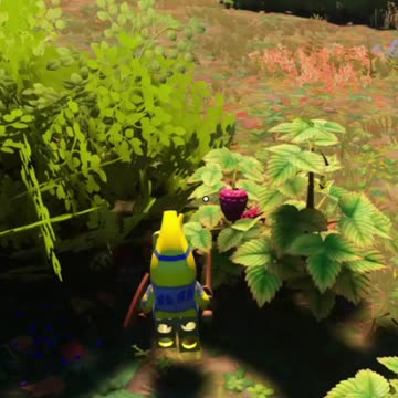 Raspberries are MMM, so Good!!! Lego Fortnite