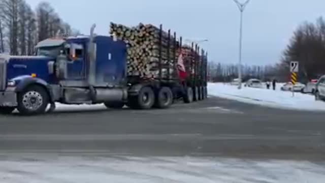 New Canadian Convoy Forming - They Aren't GIVING UP 2/19/22