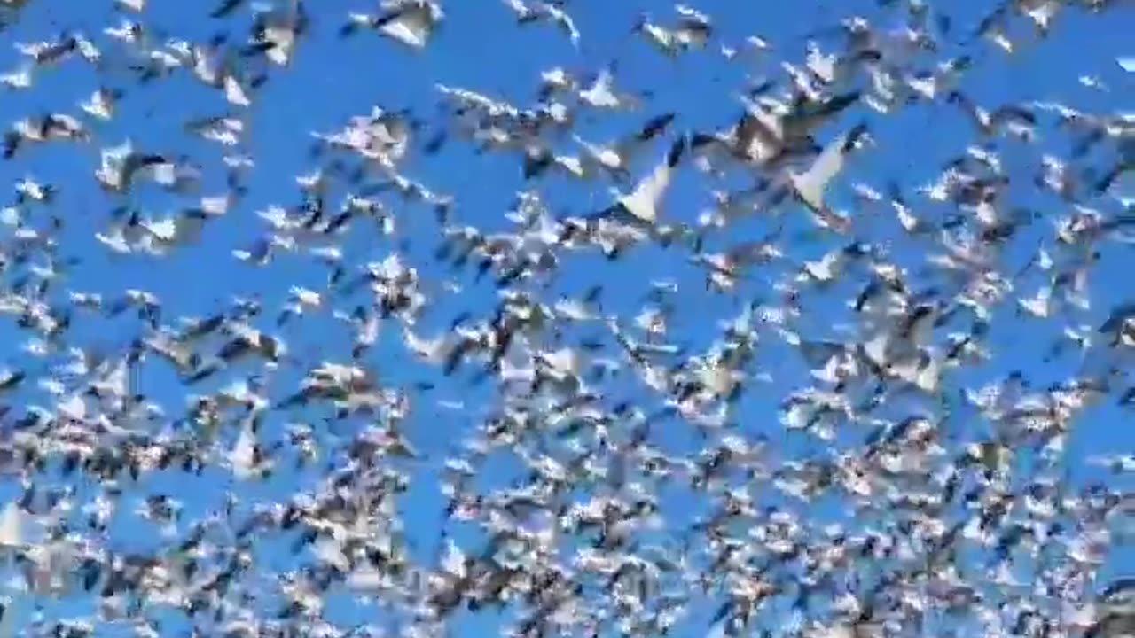 In The Journey Of Life #shorts #shortvideo #video #virals #videoviral