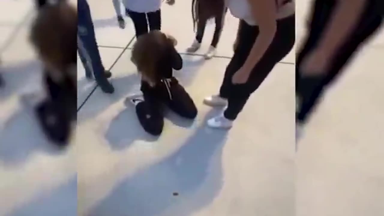 European girl is made to kneel to be punched from behind by usual suspect.