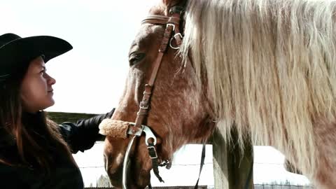 girl cowboy stroking horse
