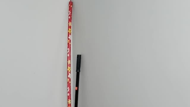 This is a no D policing zone