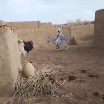 Angry revolution, see what happened !!