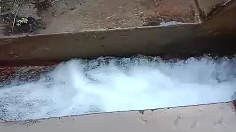 Organic swiming pool