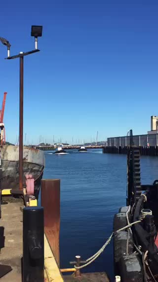 Another day on the Duwamish