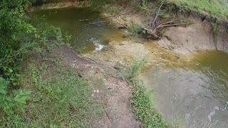 Bass Fishing In a Small Pond