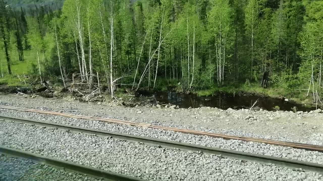 Beautiful taiga and beautiful mountains. Very beautiful area.