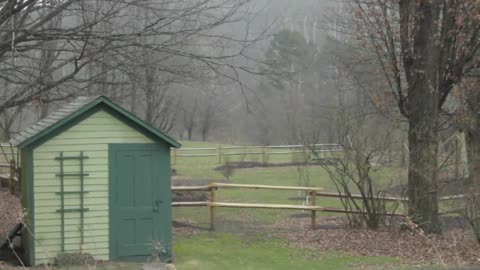 Green cabin in the woods