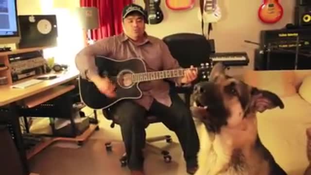 Dog singing with guitar