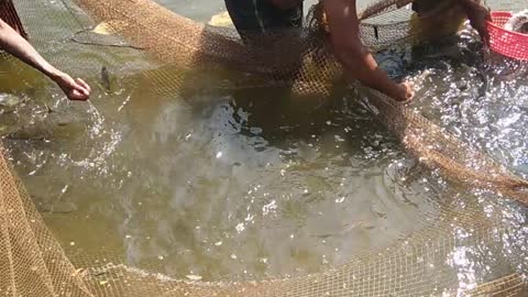 village fishing in river