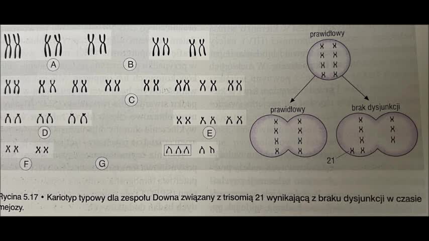 5 PSYCHIATRIA .5 WYWIAD I BADANIE PACJENTA