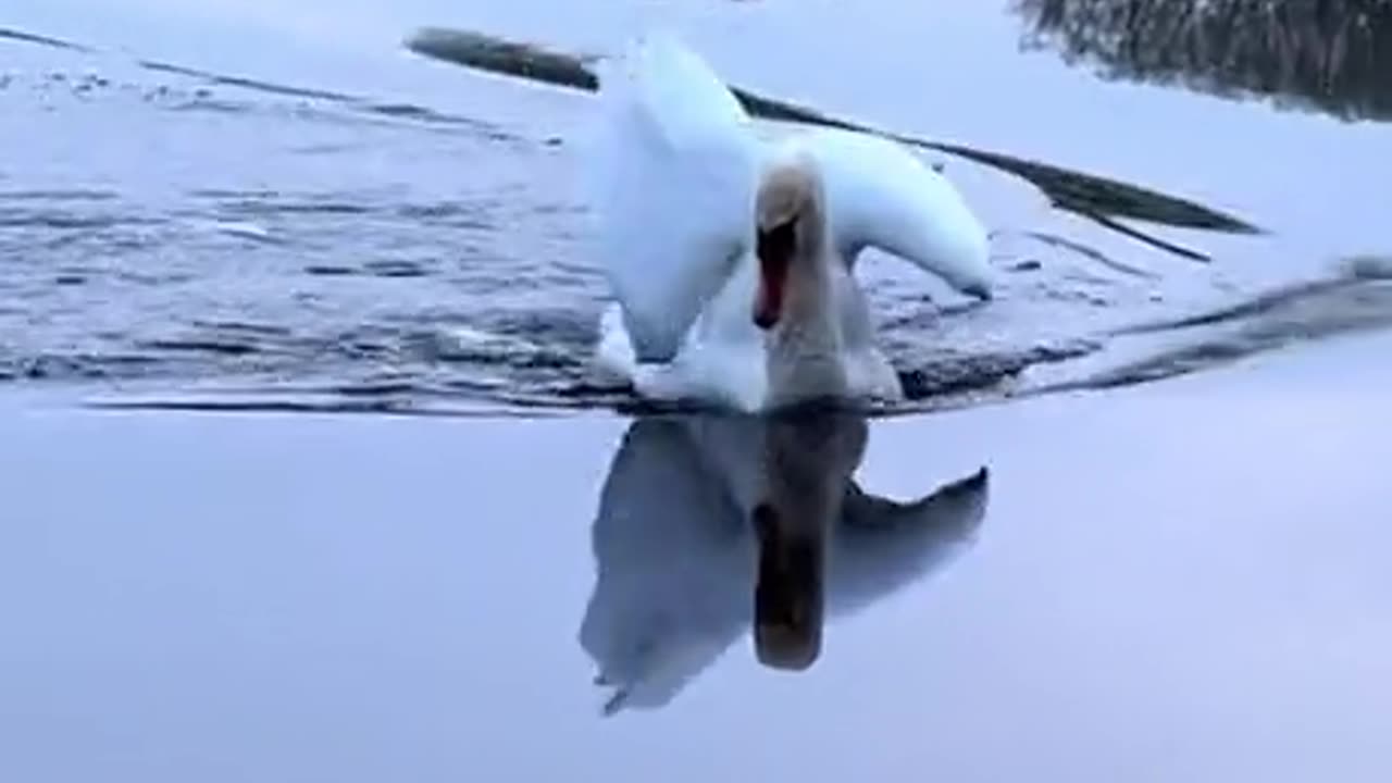 You want a piece of me? 🤣🤣🤣🤣