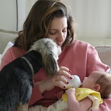 ANIMALS ALSO FEEL JEALOUS