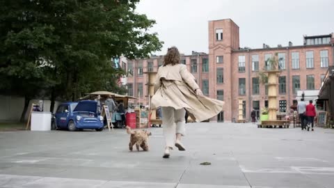 Beautiful Fluffy Dog Enjoy Running With Owner