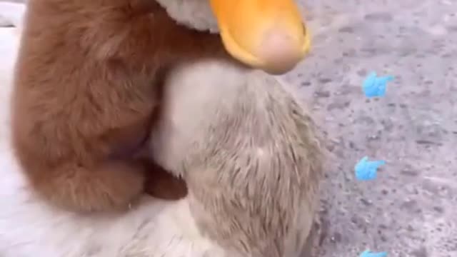 We are best friends