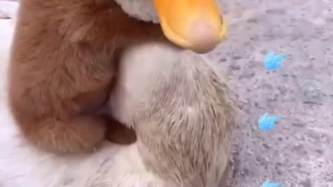 We are best friends