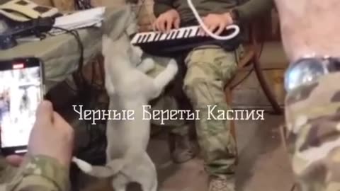 Russian barbarians