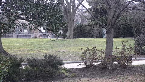 0679USCG00SEDriveExit_2021-01-06_08h02min30s583ms.mp4