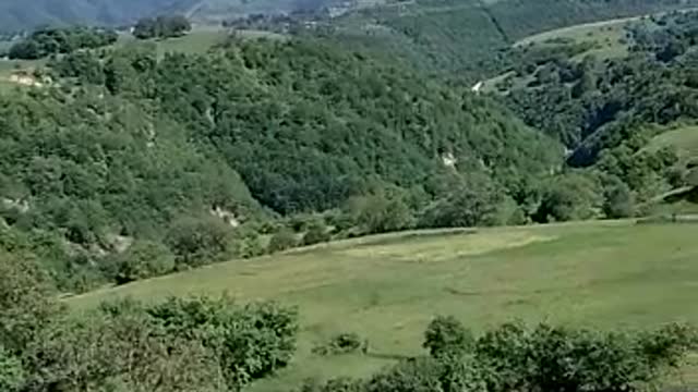 Фотовидео природы