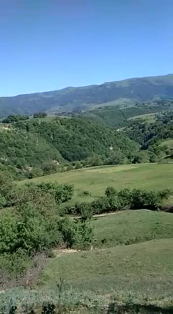 Фотовидео природы