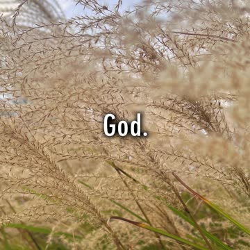 If Things Are Good, Do THIS!! || God's Point of View (Short #134)