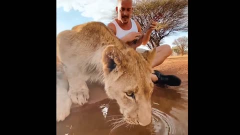 PLAYING MY UKULELE WITH THE LIONS!