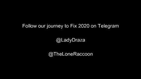 Lone Raccoon and Draza - How The Left Stole The Election