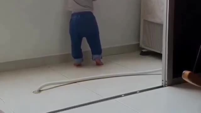 You won't believe this! CAT saves a toddler.