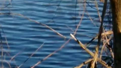 Current view Feb 21, 2022