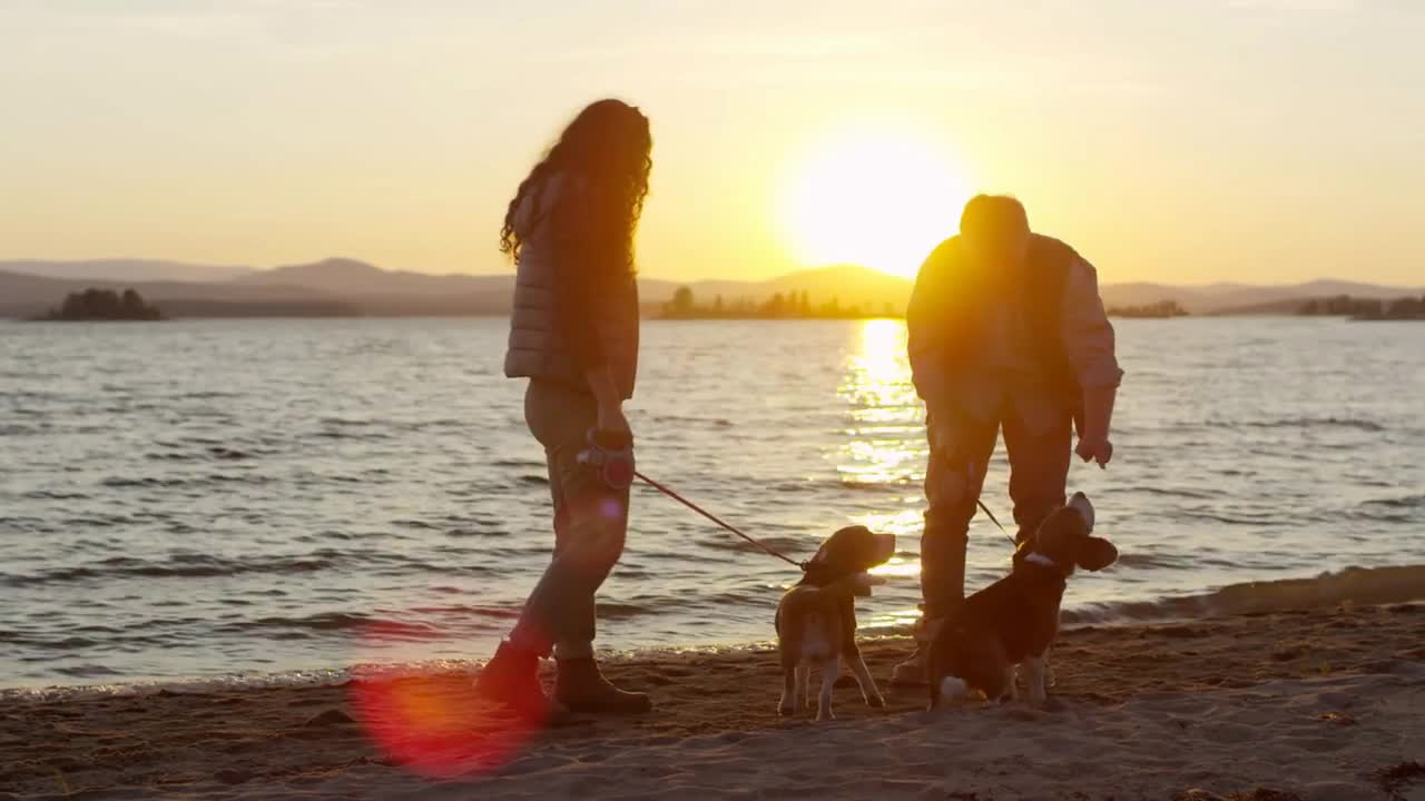 Man and woman petting their beagle dogs and giving them treats while walking on lake beach