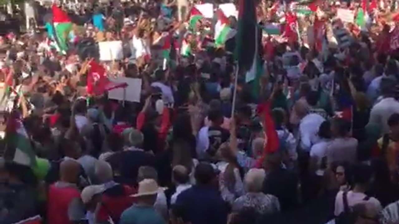 Pro Palestine rally in Tunisia