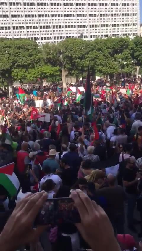 Pro Palestine rally in Tunisia