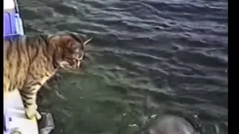 🐬And 🐈 Physical Contact.....