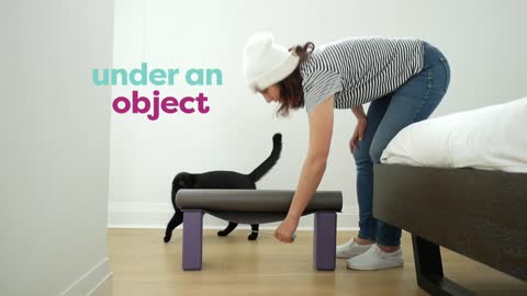 How to train cat training video...?