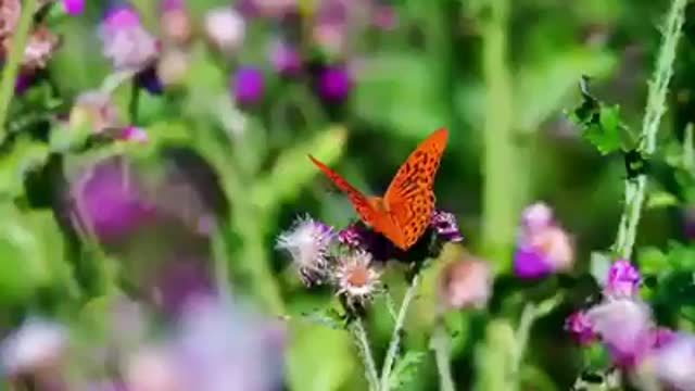 Time with God - May 26