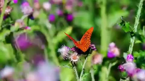 Time with God - May 26