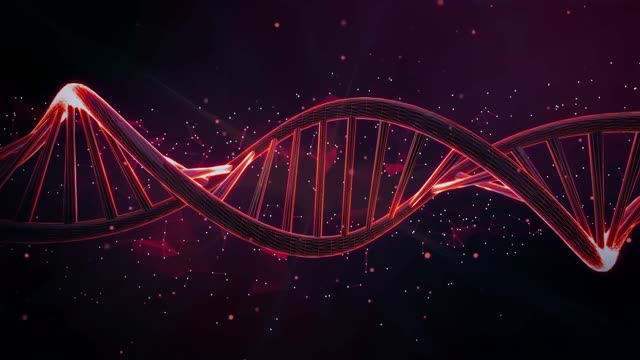 Reclaiming Your Divine DNA Code