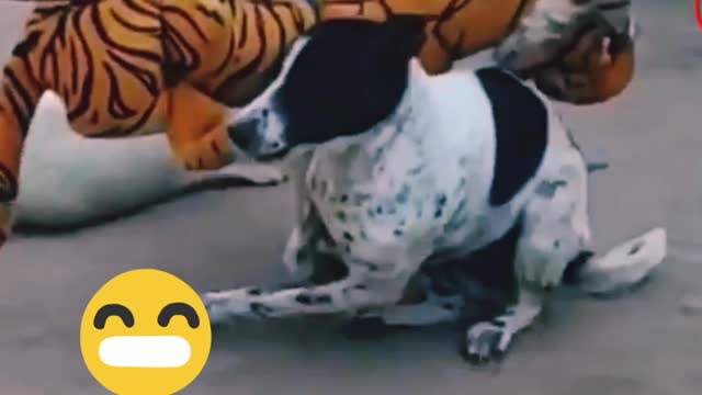 Troll Prank Dog and Big Fake Lion must watch funny video Troll Dog