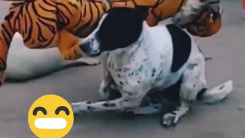 Troll Prank Dog and Big Fake Lion must watch funny video Troll Dog