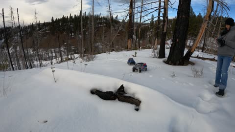 Rock crawlers in the snow