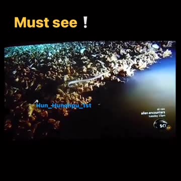 Something mysterious in the Gulf of Mexico