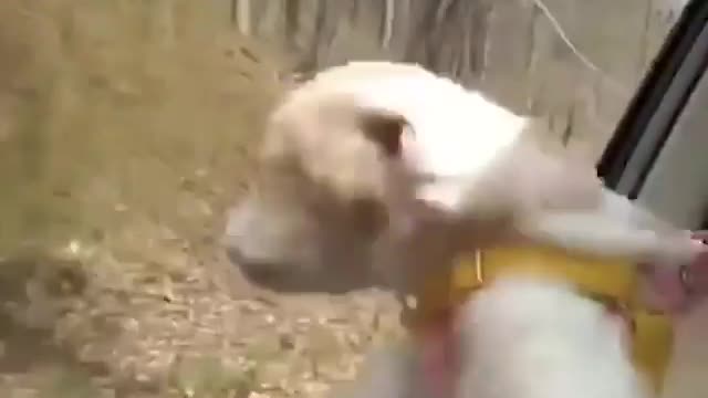 Tasty wind? Is he really tasting something???