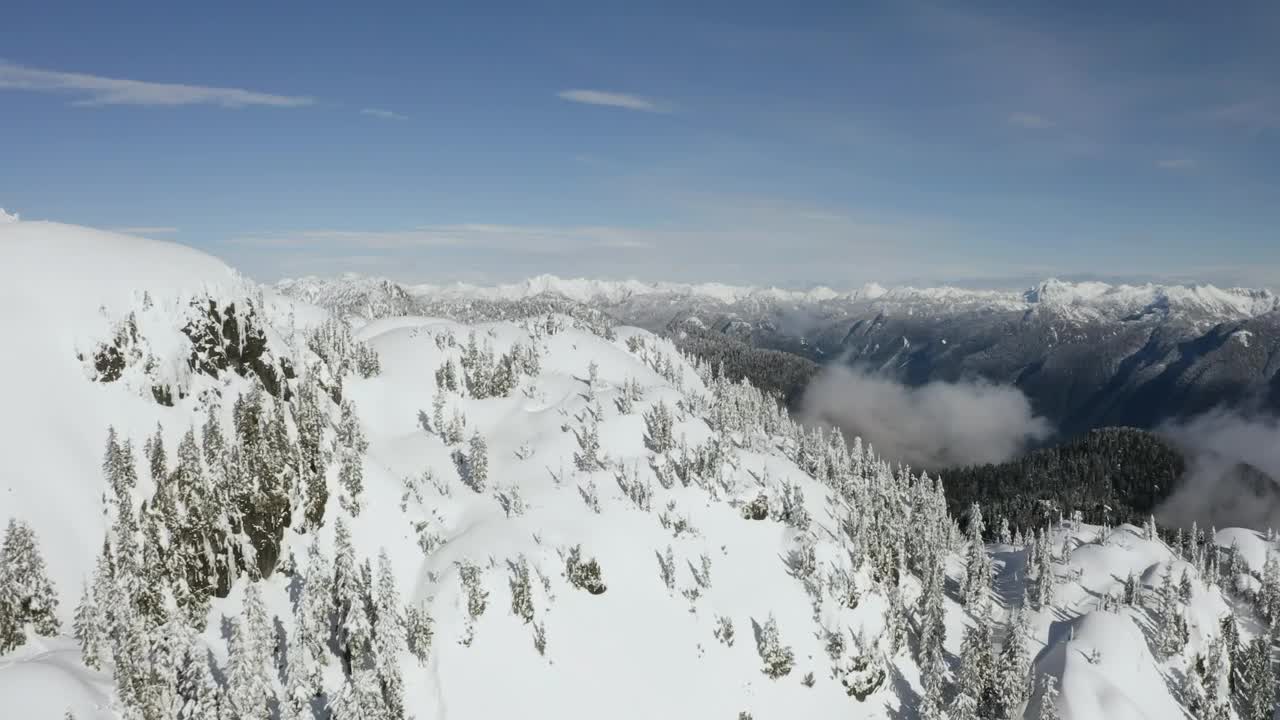 Top of a hill covered with snow and pines